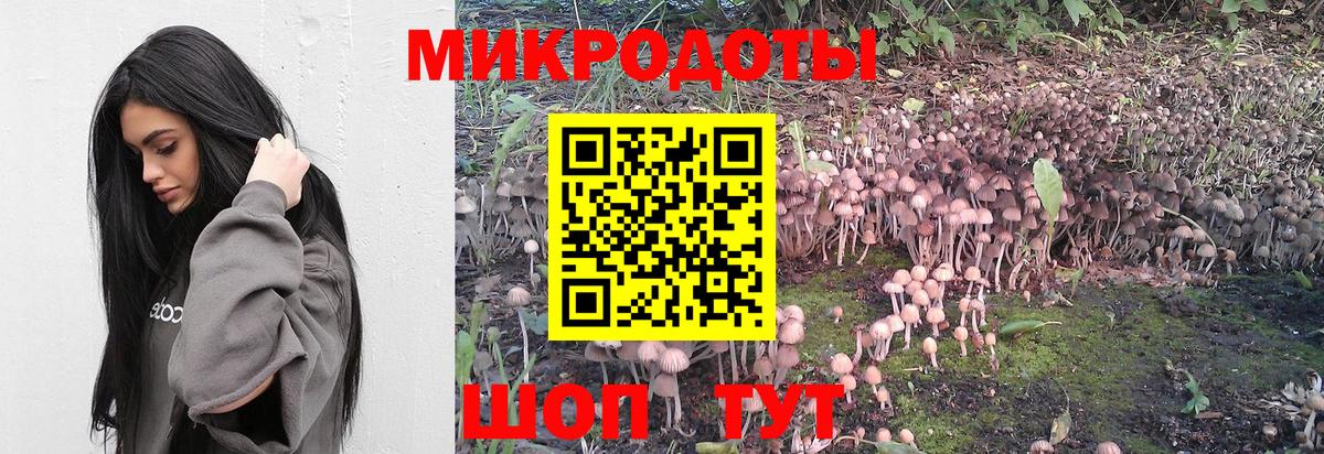 Назрань  Галлюциногенные грибы Cubensis  Вход с VPN  Псилоцибиновые грибы Cubensis 